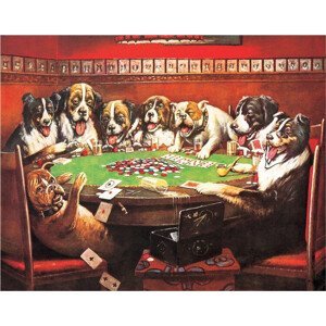 Plechová cedule DRUKEN DOGS PLAYING CARDS, (41 x 32 cm)