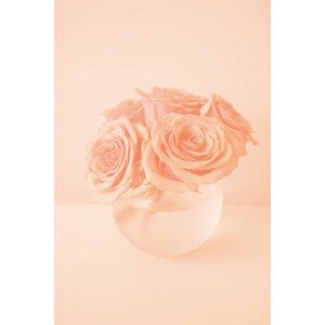 Umělecká fotografie Roses in the color of 2024 year Peach Fuzz, Anna Blazhuk, (26.7 x 40 cm)