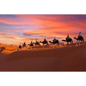 Umělecká fotografie Camel caravan going through the Sahara, Nisangha, (40 x 26.7 cm)