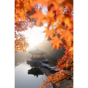 Umělecká fotografie Beautiful Autumn scene of Naejangsan national, Twenty47studio, (26.7 x 40 cm)