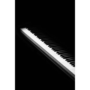 Umělecká fotografie piano keys isolated on white, Natalya Sergeeva, (26.7 x 40 cm)