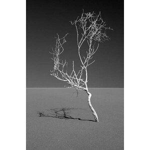 Umělecká fotografie Art of nature, Sossuvlei, Namib desert, Mike Korostelev, (26.7 x 40 cm)