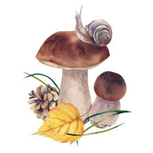 Umělecká fotografie Porcini mushrooms with autumn leaves, snail, Marina  Skryzhova, (40 x 40 cm)