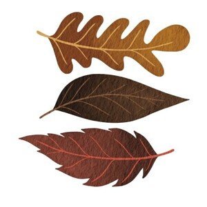 Umělecká fotografie Three brown fall leaves watercolor illustration, ToBeeLife, (40 x 40 cm)