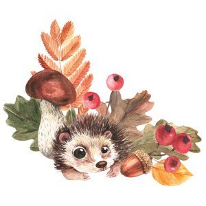 Umělecká fotografie Corner composition of hedgehog, mushrooms, falling, Tatyana Apt, (40 x 40 cm)