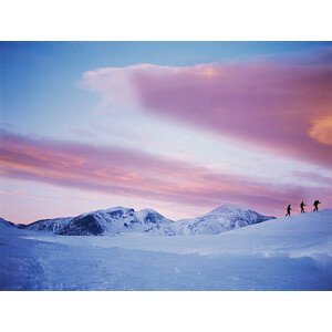 Umělecká fotografie Group Snowshoeing in Snow, David Trood, (40 x 30 cm)