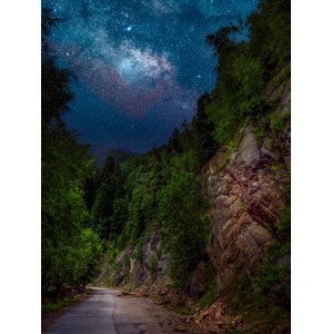 Umělecká fotografie Trees by road against sky at night,Romania, Daniel Ion / 500px, (30 x 40 cm)