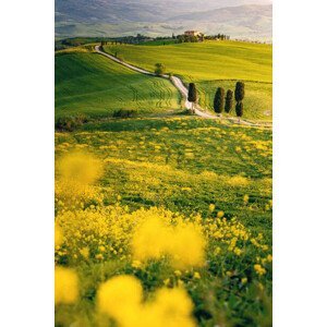 Umělecká fotografie Tuscany, springtime in the afternoon. Path,, Francesco Riccardo Iacomino, (26.7 x 40 cm)