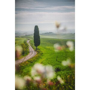 Umělecká fotografie Tuscany landscape view of green hills, serts, (26.7 x 40 cm)