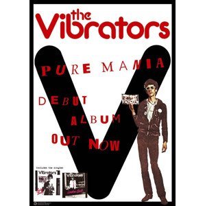 Plakát, Obraz - Vibrators - Pure Mania, (59.4 x 84 cm)