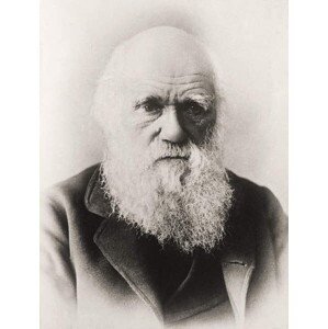 Umělecká fotografie Charles Darwin, English School,, (30 x 40 cm)