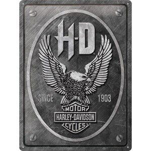 Plechová cedule Harley Davidson - Metal Eagle, (30 x 40 cm)