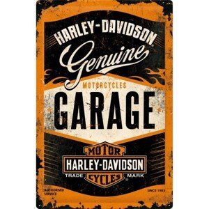 Plechová cedule Harley Davidson - Garage (40x60), (40 x 60 cm)