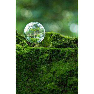 Umělecká fotografie sprout inside  globe  in the air, Yuji Sakai, (26.7 x 40 cm)