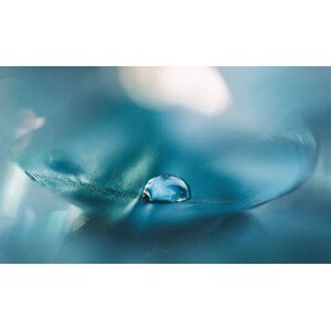 Umělecká fotografie Feathers aqua blue color with a, oxygen, (40 x 24.6 cm)