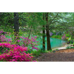 Umělecká fotografie Spring FLowers -and Lake view--Gibson County, William Reagan, (40 x 26.7 cm)