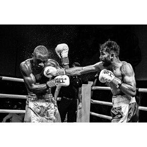 Umělecká fotografie Boxing, Reza Mohammadi, (40 x 26.7 cm)