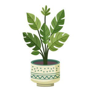 Ilustrace Monstera plant in a pot, Yuliia Sydorova, (40 x 40 cm)