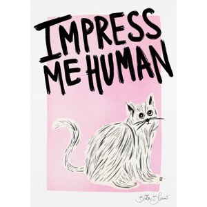 Ilustrace Cat Owner - Impress Me Human, Baroo Bloom, (30 x 40 cm)