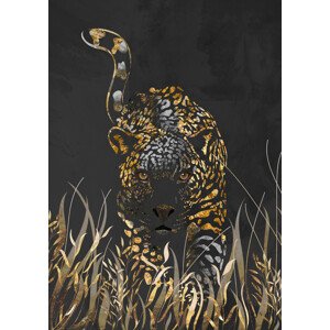 Ilustrace Black gold jaguar in grass, Sarah Manovski, (30 x 40 cm)