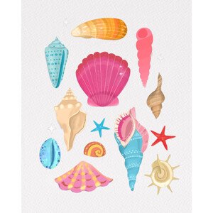 Ilustrace Seashells, Petra Lizde, (30 x 40 cm)