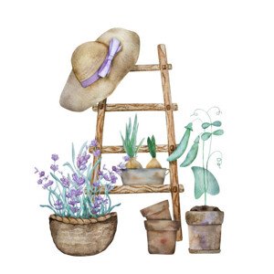 Ilustrace Beautiful lavender provence watercolor illustration, VYCHEGZHANINA, (40 x 40 cm)