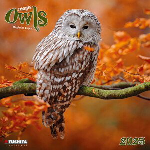 Kalendář 2025 Magic Owls