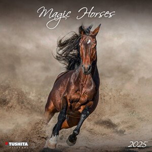 Kalendář 2025 Magic Horses
