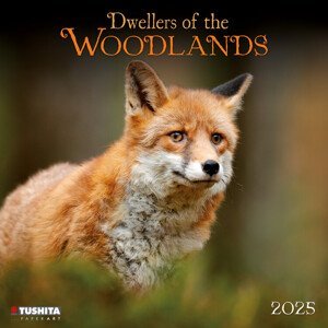 Kalendář 2025 Dwellers of the Woodlands