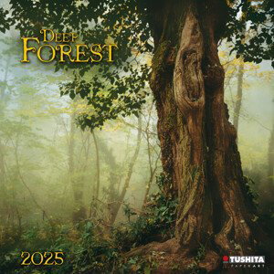 Kalendář 2025 Deep Forest