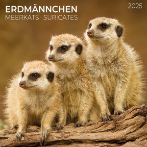 Kalendář 2025 Meerkats