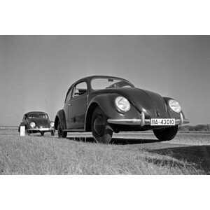 Fotografie Two models of the Volkswagen beetle, or KdF car, with open and closed roof near the test track near Wolfsburg, Germany 1930s, (40 x 26.7 cm