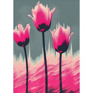 Ilustrace The Tulips, Andreas Magnusson, (30 x 40 cm)