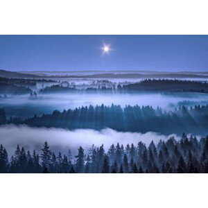 Fotografie Beautiful foggy forest, Aulanko, Hameenlinna, Finland, Milamai, 40x26.7 cm
