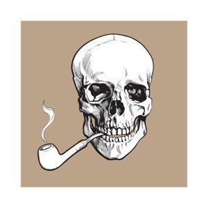 Ilustrace Hand drawn human skull smoking lacquered, sabelskaya, 40x40 cm