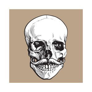 Ilustrace Hand drawn human skull with curled, sabelskaya, 40x40 cm