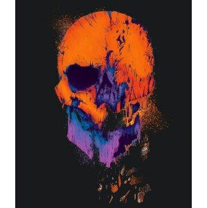 Ilustrace Skull, OsakaWayne Studios, 35x40 cm