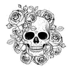 Ilustrace Skull and flowers hand drawn illustration., vidimages, 40x40 cm