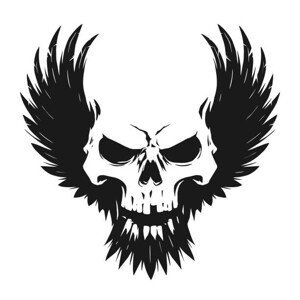 Ilustrace Black skull illustration with wings, d1sk, 40x40 cm