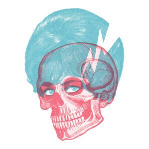 Ilustrace Skull, CSA Images, 30x40 cm
