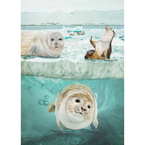 Ilustrace Arctic Expedition, Angeles M. Pomata, 30x40 cm