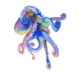 Ilustrace Blue Marine Octopuss, Isabelle Brent, 30x40 cm