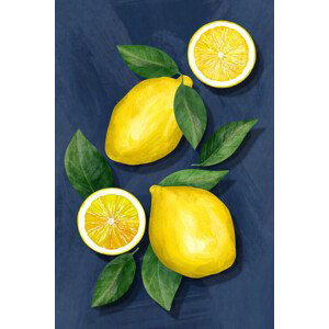 Ilustrace Lemons, EMELIEmaria, 26.7x40 cm