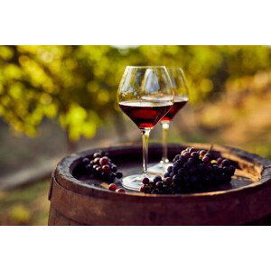 Fotografie Two glasses of red wine in the vineyard, Rostislav_Sedlacek, 40x26.7 cm