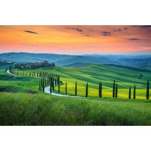 Fotografie Famous Tuscany landscape with curved road, Janoka82, 40x26.7 cm
