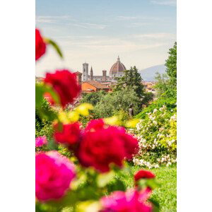 Fotografie Florence, Tuscany, Italy. Roses and cityscape, Francesco Riccardo Iacomino, 26.7x40 cm