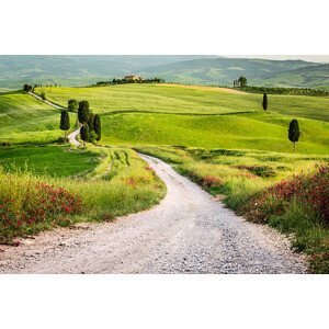 Fotografie Dirt road and green field in Tuscany, Shaiith, 40x26.7 cm