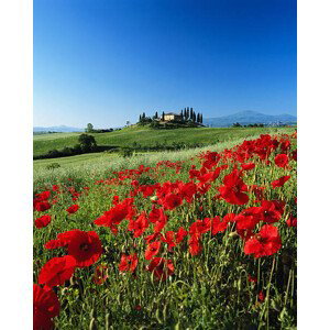 Fotografie Italy, Tuscany, Val d'Orcia, farmhouse on, David C Tomlinson, 30x40 cm