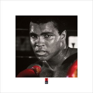 Umělecký tisk Muhammad Ali Boxing S., (40 x 40 cm)