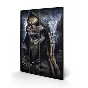 Dřevěný obraz SPIRAL - dead beats / reaper, (40 x 59 cm)